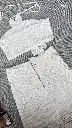 IMG_4208.webp