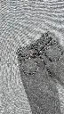 IMG_6983.webp