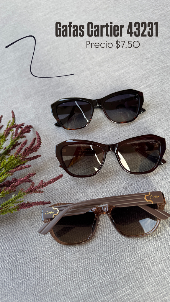 [C350.01] Gafas 43231 (Cafe)