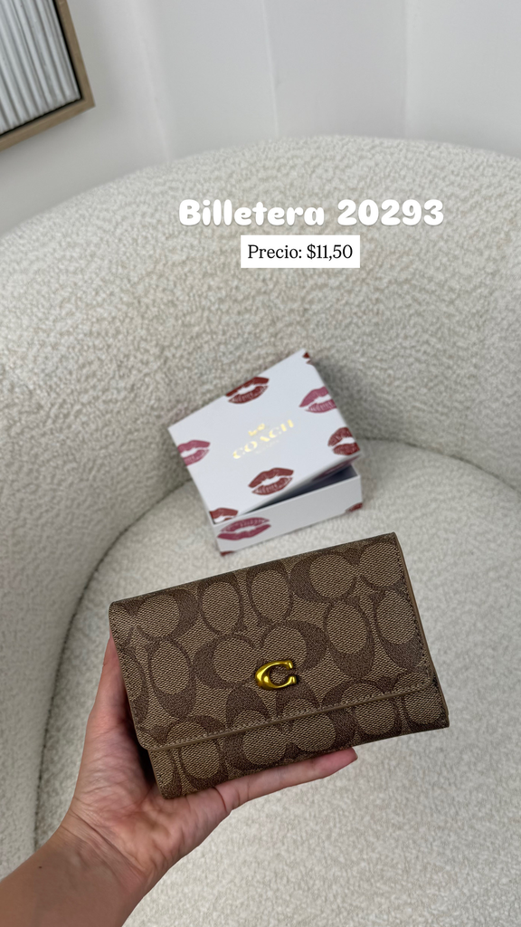 Billetera 20293