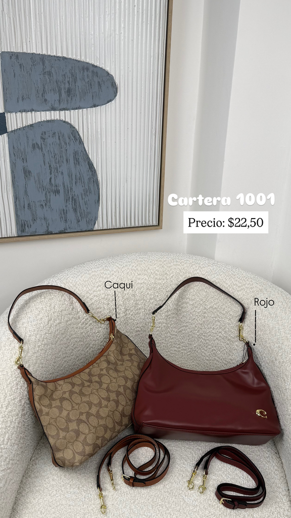 Cartera 1001