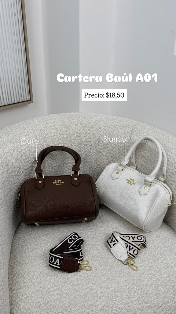 Cartera baúl A01