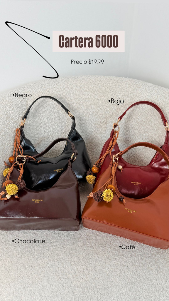 Cartera 6000