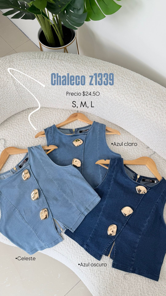[A620.01] Chaleco Z1339 (Celeste, S)