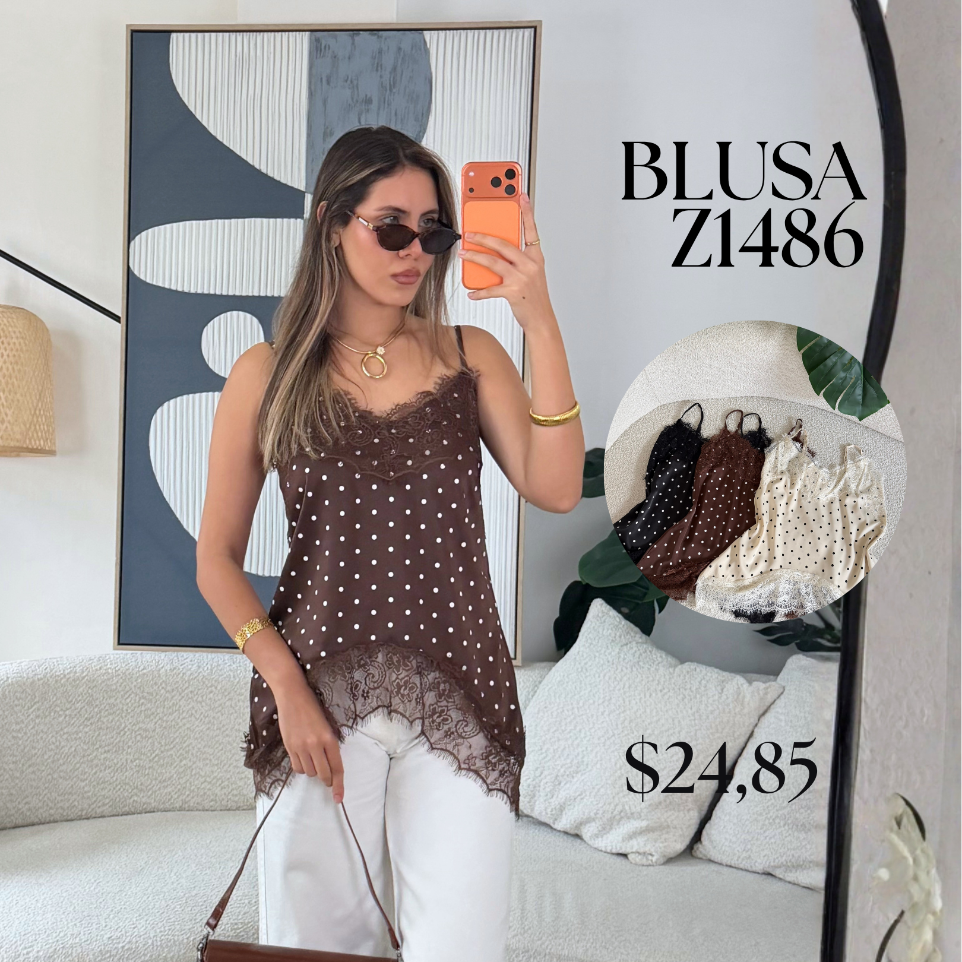[A684.01] Blusa Z1486 (Cafe, S)