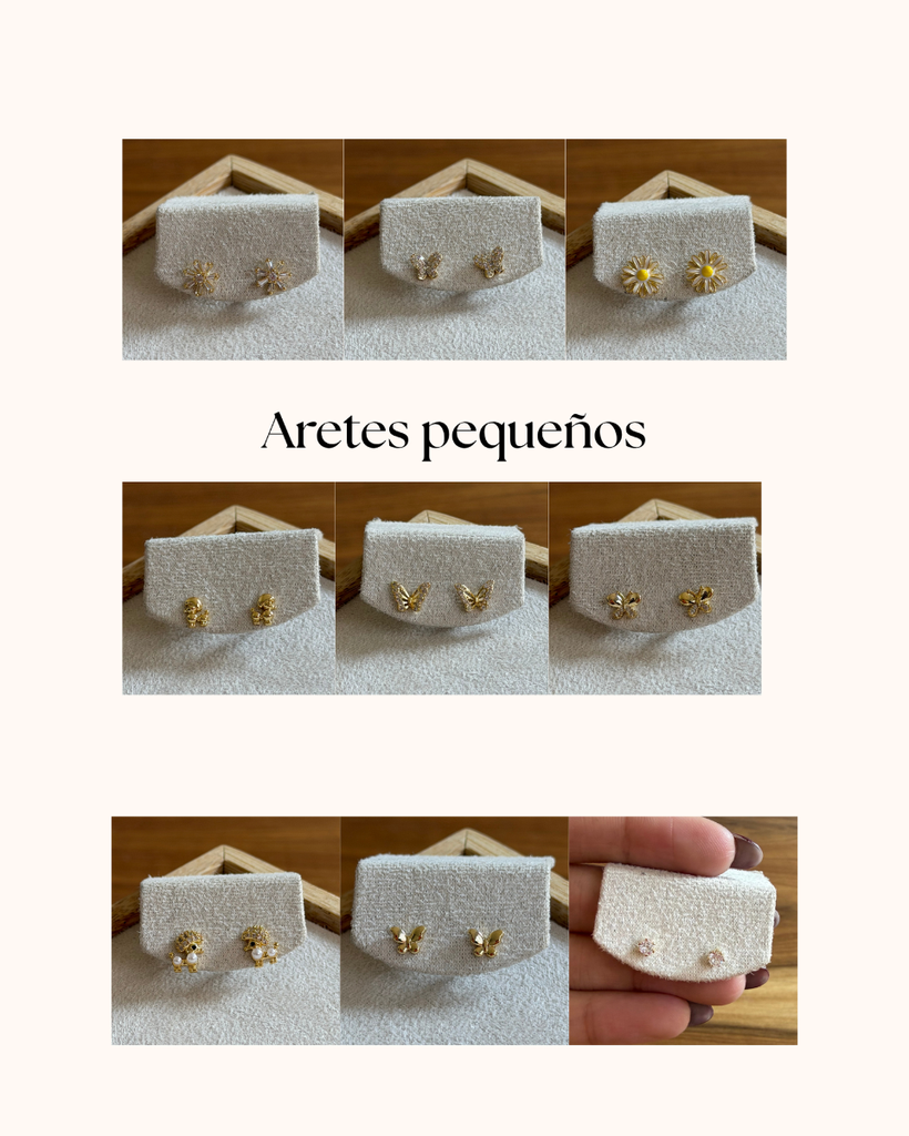 Aretes Pequeños