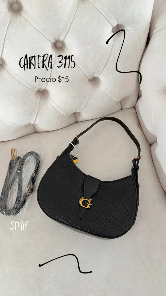 CARTERA 3115