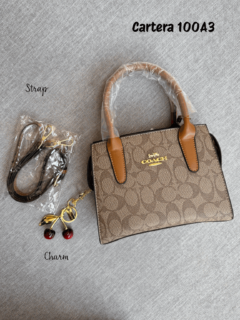 CARTERA COACH 100A3