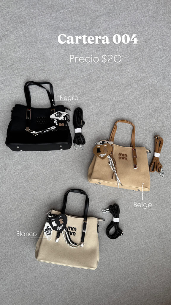 CARTERA 004