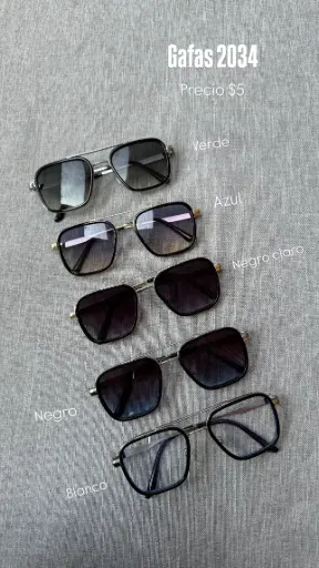GAFAS 2034
