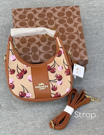 [C185] CARTERA COACH 5618