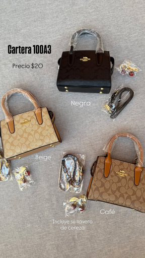 CARTERA COACH 100A3