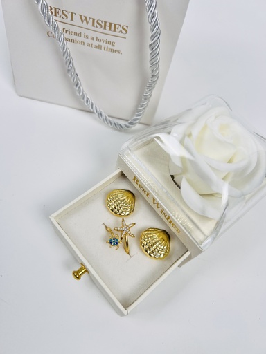 Cadena + aretes de Concha
